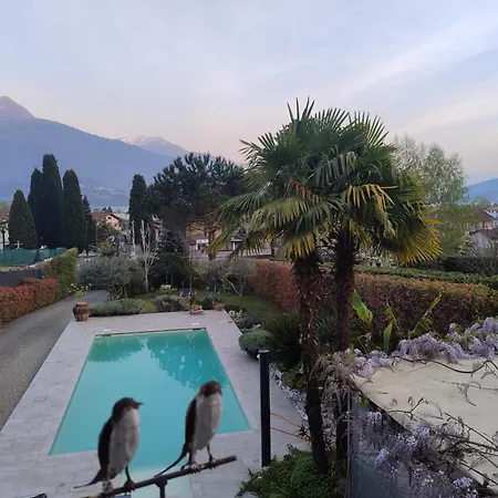 Vacation In With Pool Appartement *