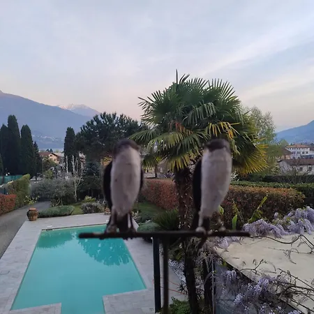 Vacation In With Pool